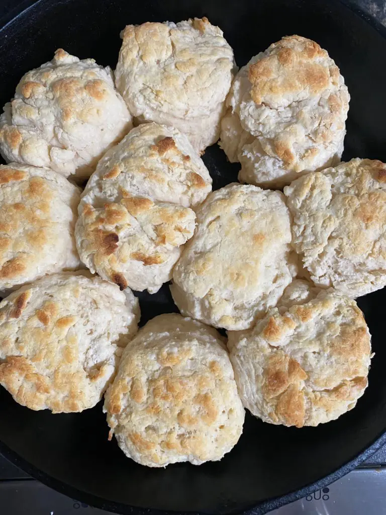 fresh homemade biscuits in a cast iron skillet