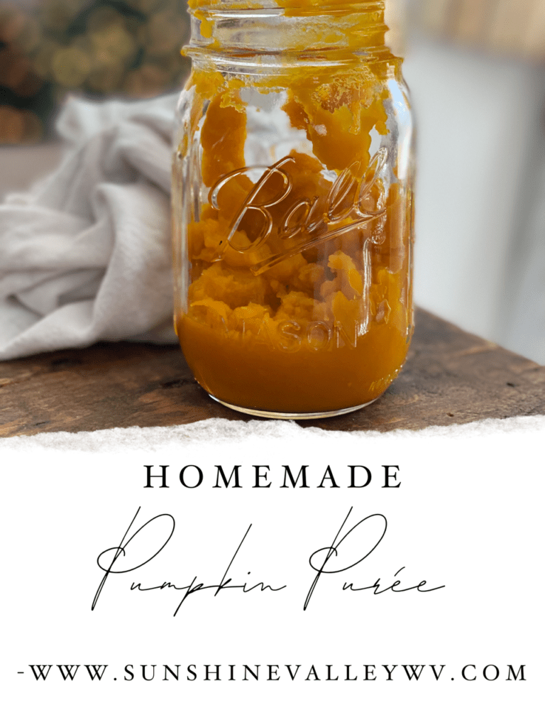 easy homemade pumpkin puree