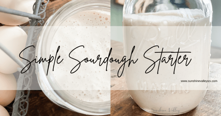 How to Make a Sourdough Starter