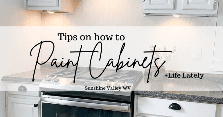 How To Update Cabinets with Paint + Life Lately