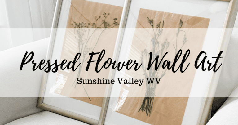 How to Make Simple DIY Pressed Flower Wall Art