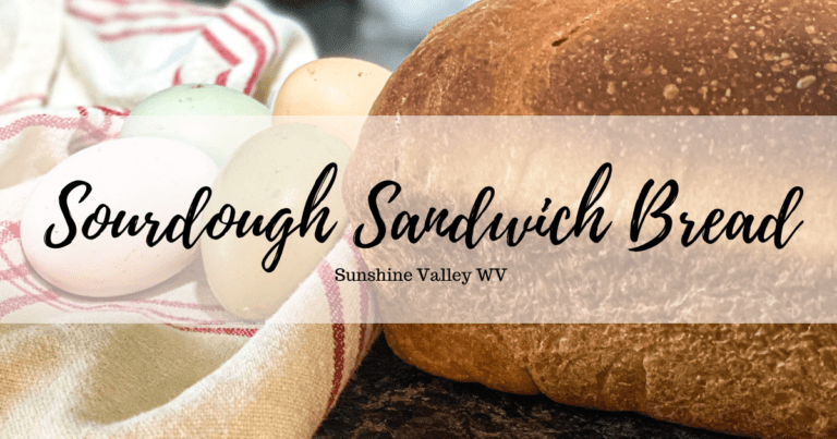 How to Make Soft and Fluffy Sourdough Sandwich Bread Recipe