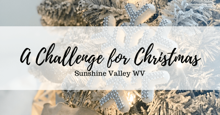 A Challenge For Christmas