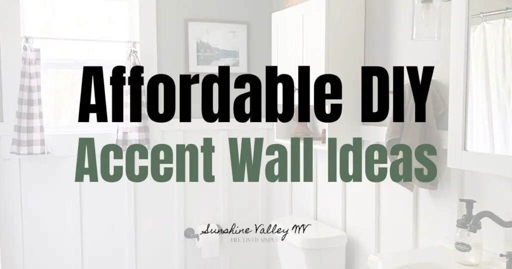 Transform your home with easy and affordable DIY accent wall ideas. Graphic shows paint, shiplap, and wallpaper options.