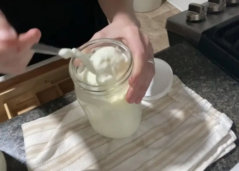 How to Make Simple Homemade Yogurt