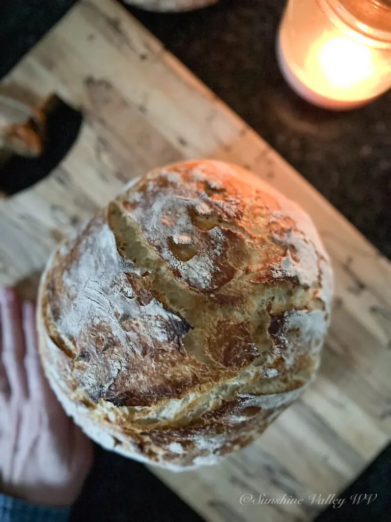 How to Make the Perfect Beginner’s Sourdough Bread Recipe: A Step-by-Step Guide