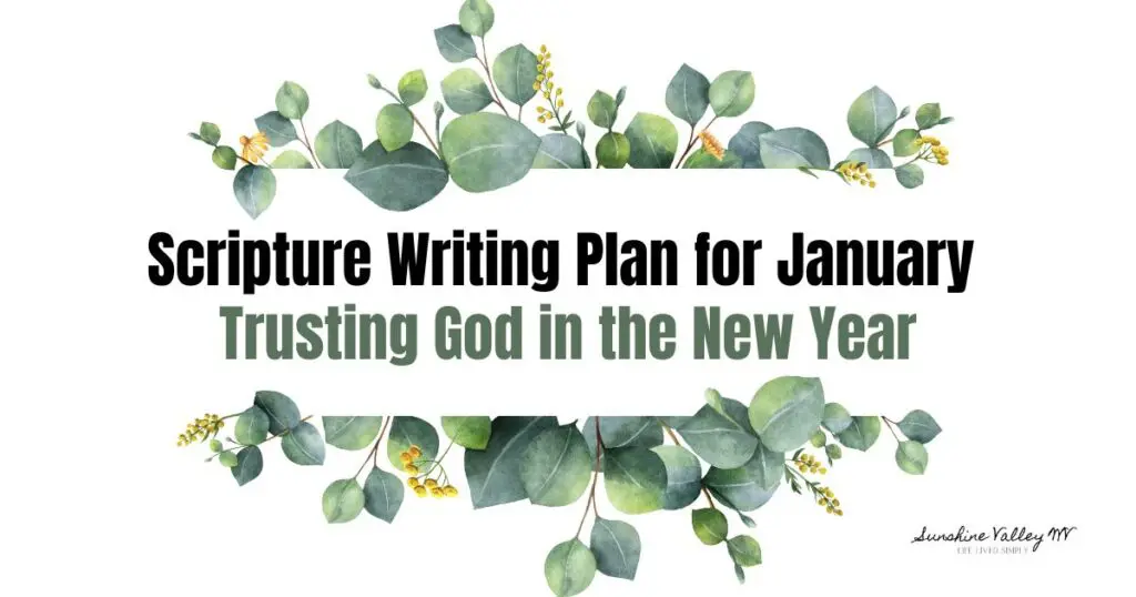 Scripture Writing plan for January