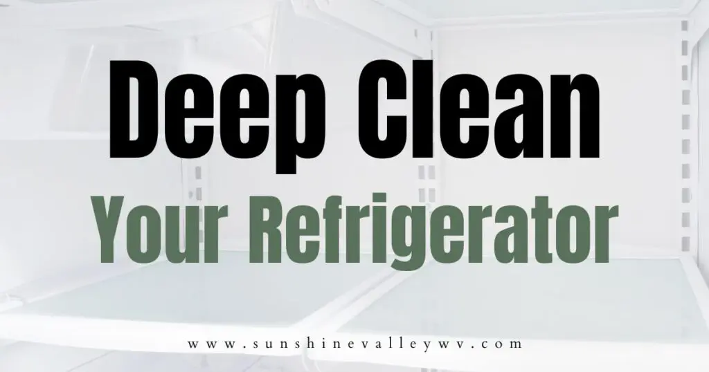 Deep Clean Your Refrigerator