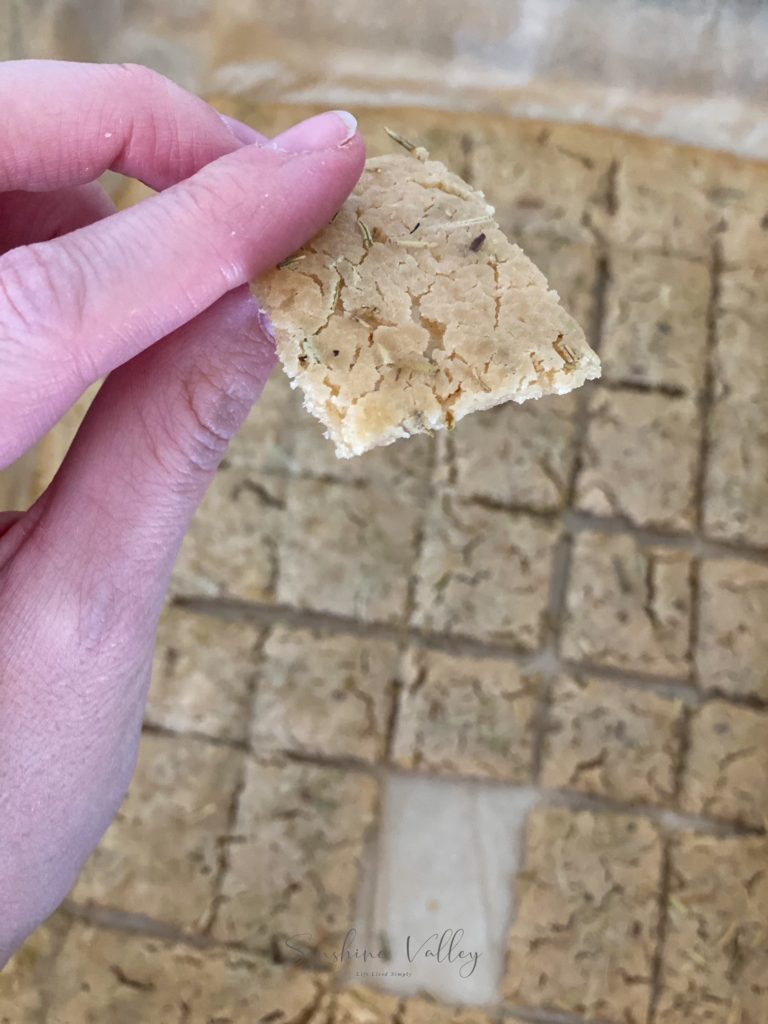 How to Make Simple Sourdough Discard Crackers